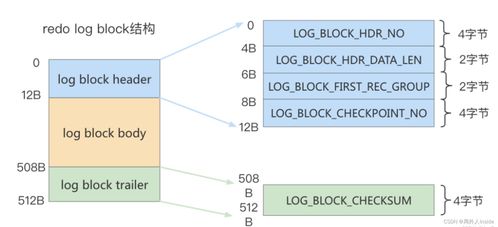 MySQL八股之日志詳解 數(shù)據(jù)處理與存儲服務