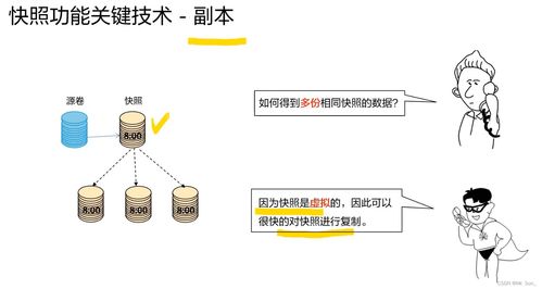 存儲數(shù)據(jù)保護技術(shù)與應(yīng)用 構(gòu)建可信的數(shù)據(jù)處理與存儲服務(wù)基石